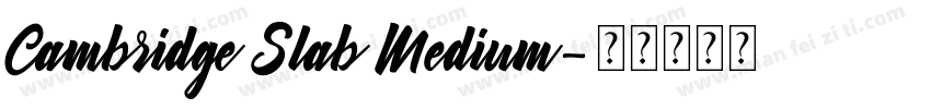 Cambridge Slab Medium字体转换